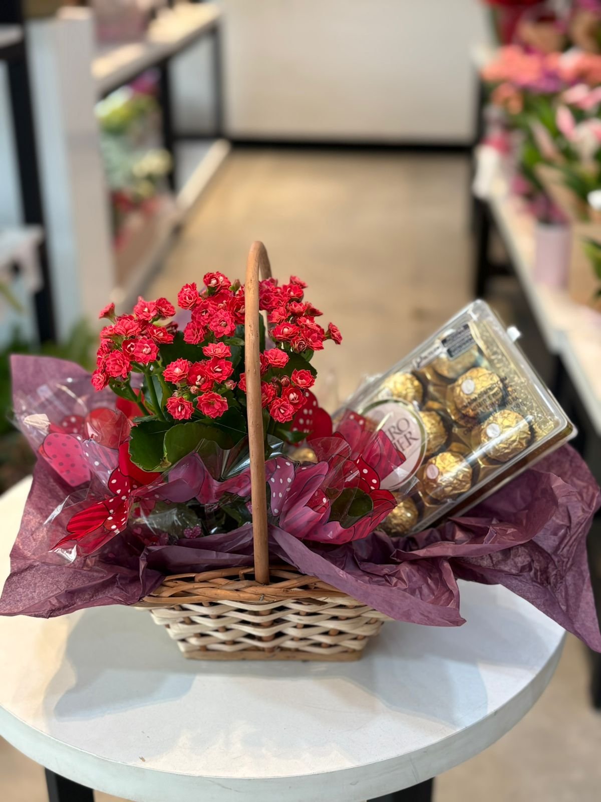 Kit Kalanchoe e Chocolate